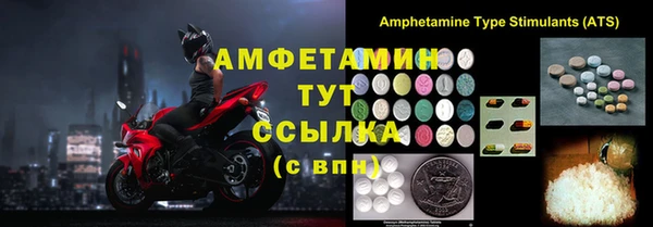 индика Каменск-Шахтинский