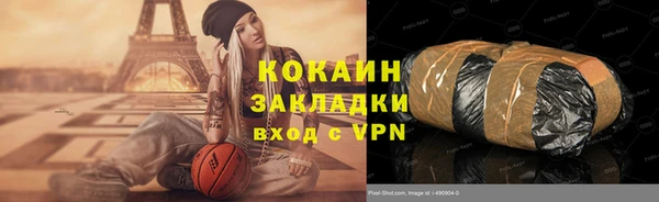 индика Каменск-Шахтинский