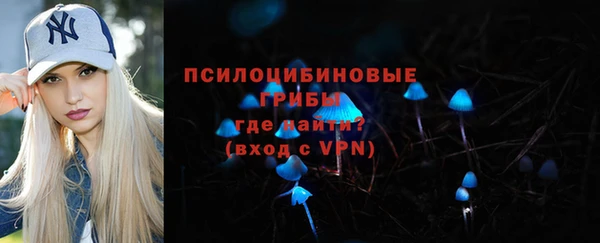 mdpv Каменка