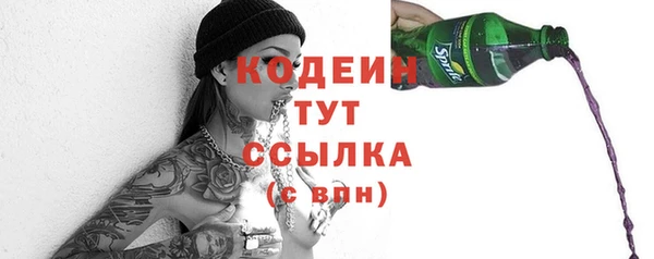 индика Каменск-Шахтинский