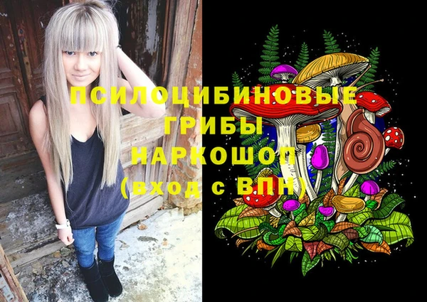 индика Каменск-Шахтинский
