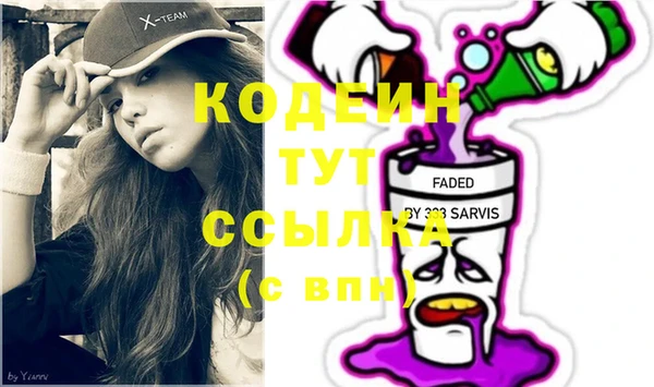 индика Каменск-Шахтинский