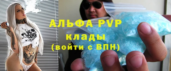 индика Каменск-Шахтинский