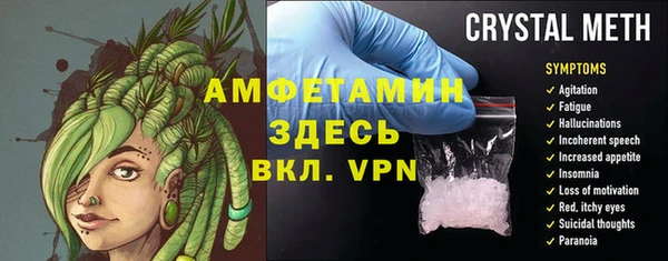 индика Каменск-Шахтинский