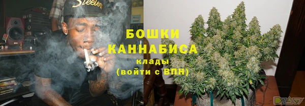 индика Каменск-Шахтинский