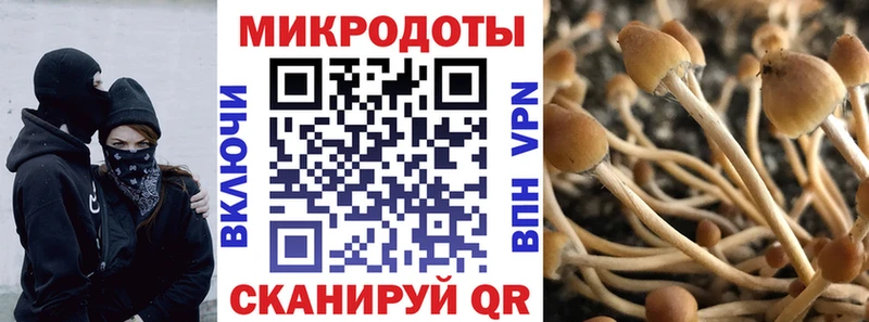 Галлюциногенные грибы Cubensis  Купить закладки  Моздок 